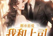 都市恋爱：我和上司he了这本小说在哪里可以看？哪里有免费试读章节？-侠客文学