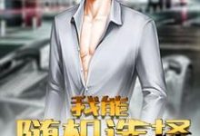 刘彬白柳小说在哪里可以看-侠客文学