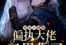 快穿小撩精：偏执大佬又黑化了小说全文哪里可以免费看？-侠客文学