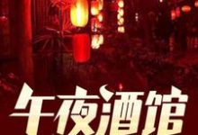 已完结小说《午夜酒馆》在线章节阅读-侠客文学