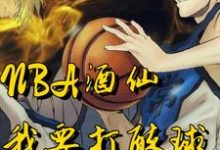 NBA酒仙:我要打醉球!小说无弹窗阅读的网站推荐-侠客文学
