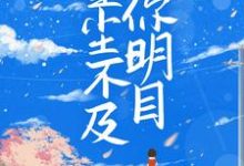 完结版《星尘不及你明目》章节阅读-侠客文学