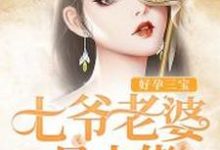 苏悦溪叶君御林玉是哪本书的主角?寻找好孕三宝:七爷老婆是大佬免费阅读-侠客文学