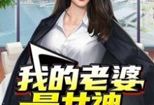 《我的老婆是女神》小说章节在线试读，《我的老婆是女神》最新章节目录-侠客文学