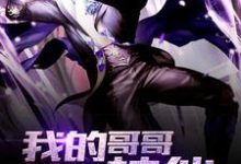 方波赵月国小依小说《我的哥哥是神仙》在线阅读-侠客文学