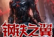 已完结小说《钢铁之翼》章节在线阅读-侠客文学