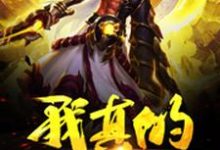 完结版《我真的没有金手指》章节阅读-侠客文学