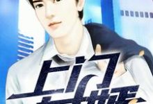 完结版《上门女婿》章节目录在线阅读-侠客文学