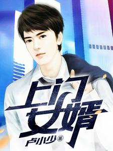 完结版《上门女婿》章节目录在线阅读
