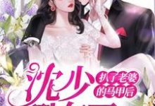 《扒了老婆的马甲后，沈少翻车了》小说章节列表免费试读，顾暖卿沈煜庭小说在线阅读-侠客文学