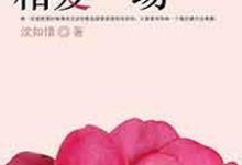 我们不过相爱一场小说阅读，我们不过相爱一场完结版-侠客文学