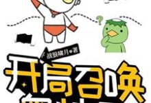 求推荐可以免费阅读开局召唤奥特曼小说的网站-侠客文学