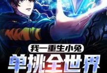 我一重生小兔,单挑全世界很合理吧黄天小说在线章节免费阅读-侠客文学