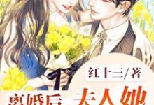 离婚后，夫人她身价千亿施念萧擎寒，离婚后，夫人她身价千亿小说免费阅读-侠客文学