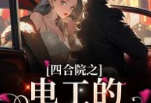 四合院之电工的幸福日子这本小说怎么样？免费在线阅读试试-侠客文学