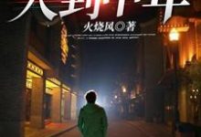 人到中年这本小说怎么样？免费在线阅读试试-侠客文学