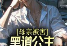 完结版《母亲被害,黑道公主扶我登高位》在线免费阅读-侠客文学