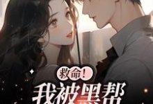 救命！我被黑帮大佬盯上了章节免费在线阅读，白诗如陆一璟完结版-侠客文学