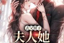 已完结小说《去父留子,夫人她一胎三宝》最新章节-侠客文学