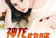 完结版《神龙快婿》免费阅读-侠客文学