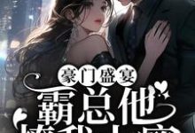 求豪门盛宴:霸总他撩我上瘾小说的全文免费阅读链接-侠客文学