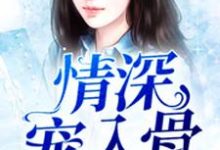 情深宠入骨小说有没有完整的免费版本在线阅读？-侠客文学