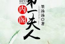 内阁第一夫人小说有没有完结版在线？-侠客文学