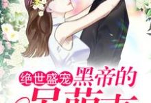 《绝世盛宠：黑帝的呆萌妻》小说主角安小暖夜溟爵章节章节免费在线阅读-侠客文学