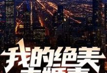 完结版《我的绝美未婚妻》章节阅读-侠客文学