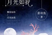 繁星似你，月光如我小说，繁星似你，月光如我最新章节-侠客文学