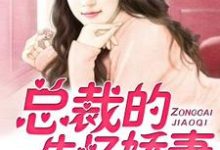 《总裁的失忆娇妻》小说章节列表免费试读，陆安浅楼钰恒小说在线阅读-侠客文学