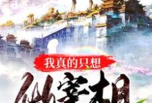 赵全董月明为主角的小说叫什么？免费看我真的只想做宰相-侠客文学