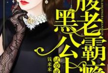 《试爱成婚：腹黑老公霸上瘾》小说章节列表免费试读，叶轻歌陆靖北陆冉冉小说在线阅读-侠客文学