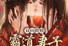 双向救赎：霸道妻子柔弱相公这本小说怎么样？免费在线阅读试试-侠客文学