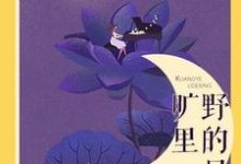 旷野里的星小说有没有完整的免费版本在线阅读？-侠客文学