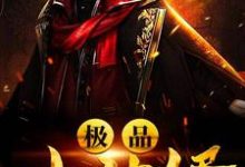 极品小神婿小说有没有完结版在线？-侠客文学