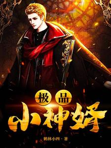 极品小神婿小说有没有完结版在线？