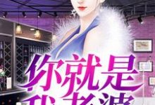 你就是我老婆小说有没有完整的免费版本在线阅读?-侠客文学