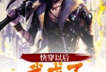 曹操刘备小说《快穿以后，我成了卧龙师弟》在线阅读-侠客文学