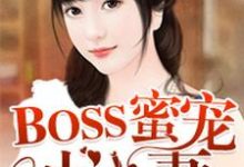 BOSS蜜宠小小妻小说,BOSS蜜宠小小妻苏念念陆少钧-侠客文学