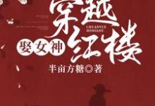 穿越红楼娶女神这本小说怎么样？免费在线阅读试试-侠客文学