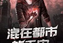 混在都市的天灾小说完结版章节免费阅读-侠客文学