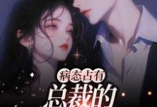 病态占有：总裁的私有宝贝小说全文阅读需要付费吗？寻找免费资源-侠客文学