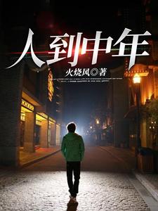 小说《人到中年》在线章节阅读