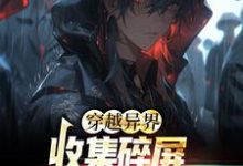 穿越异界：收集碎屏换个皇帝小说，穿越异界：收集碎屏换个皇帝最新章节-侠客文学