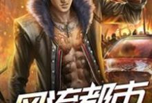 风流都市之盗帅最新章节，风流都市之盗帅免费阅读-侠客文学