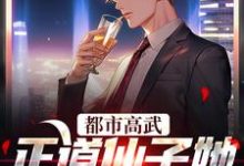 都市高武：正道仙子她欠钱不还小说有没有完结版在线？-侠客文学