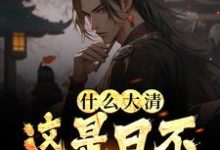 主角朱桂朱元璋小说什么大清,这是日不落大明免费阅读-侠客文学