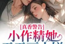 寻找能够免费阅读真香警告！小作精她天天画大饼小说的平台-侠客文学