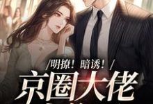 已完结小说《明撩！暗诱！京圈大佬上位了》章节免费阅读-侠客文学